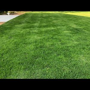 Meet your Posher, Austen